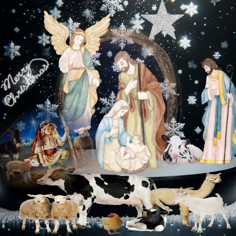 Nativity Christmas Stable HD wallpaper free download
