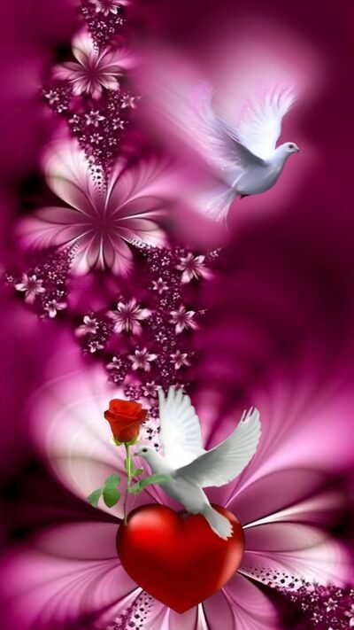 Romantic Wallpaper HD Romantic Doves Heart Rose