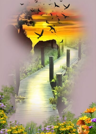 Sunset Forest Pathway HD Wallpaper