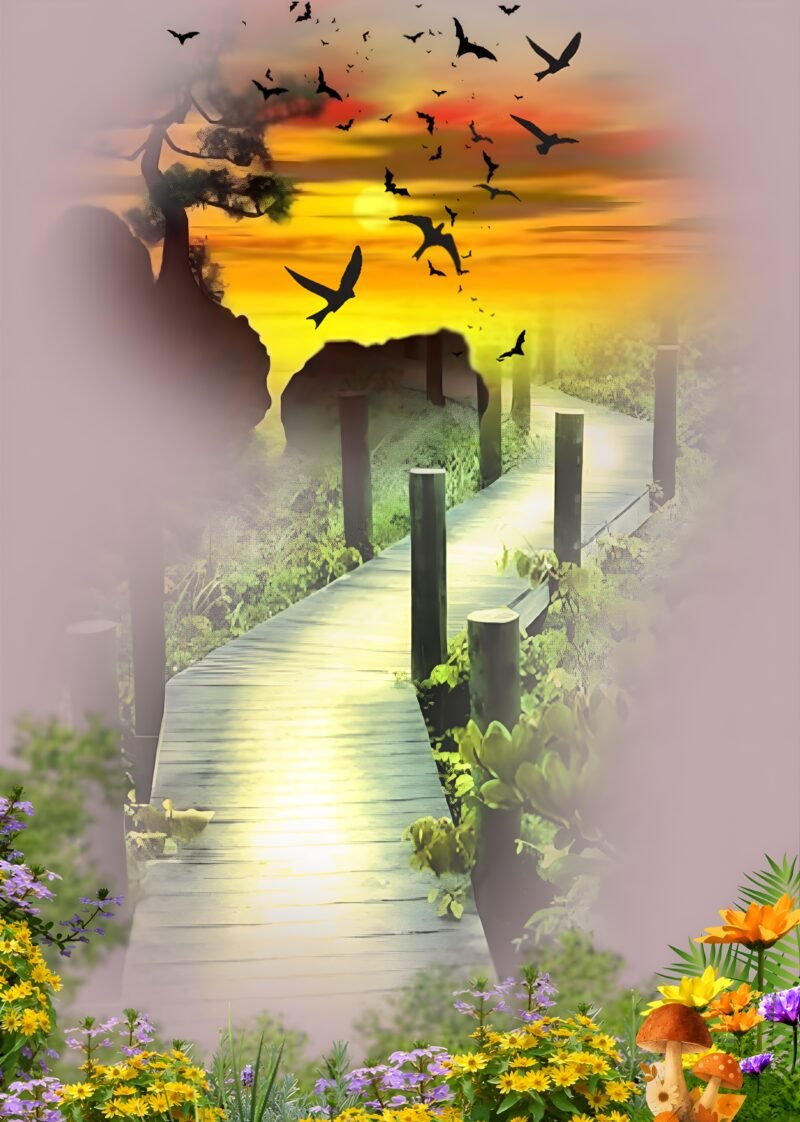 Sunset Forest Pathway HD Wallpaper free download