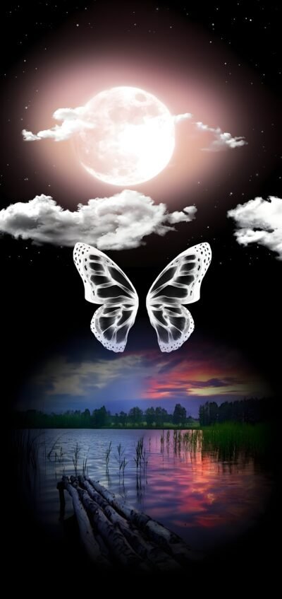 Surreal Moon Butterfly Lake HD Wallpaper