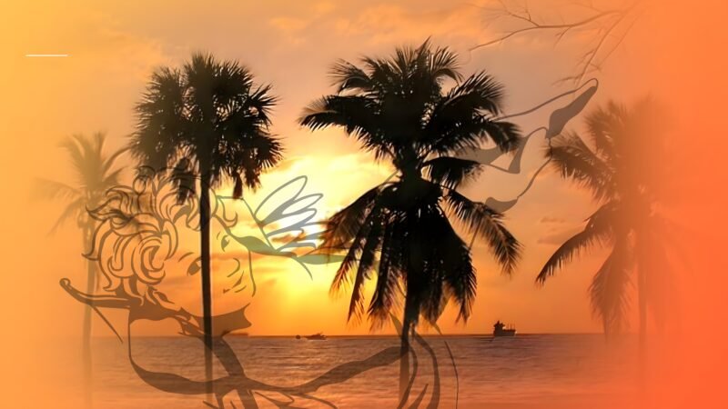 Tropical Sunset Cupid Beach HD wallpaper free download
