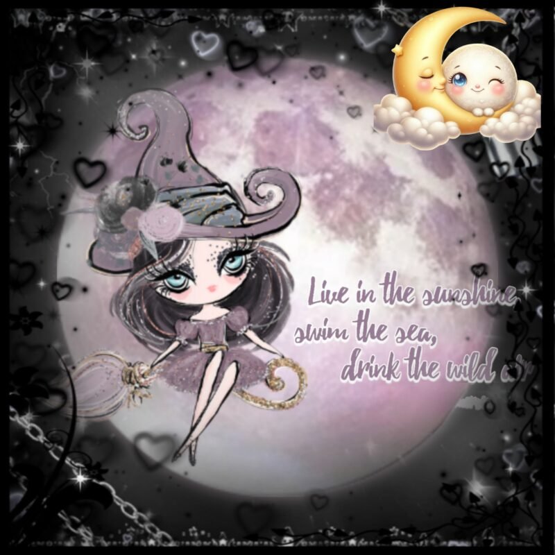 Whimsical Witch Moonlight HD Wallpaper free download