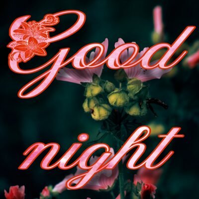 5760x5760 Wallpaper – Good Night Floral