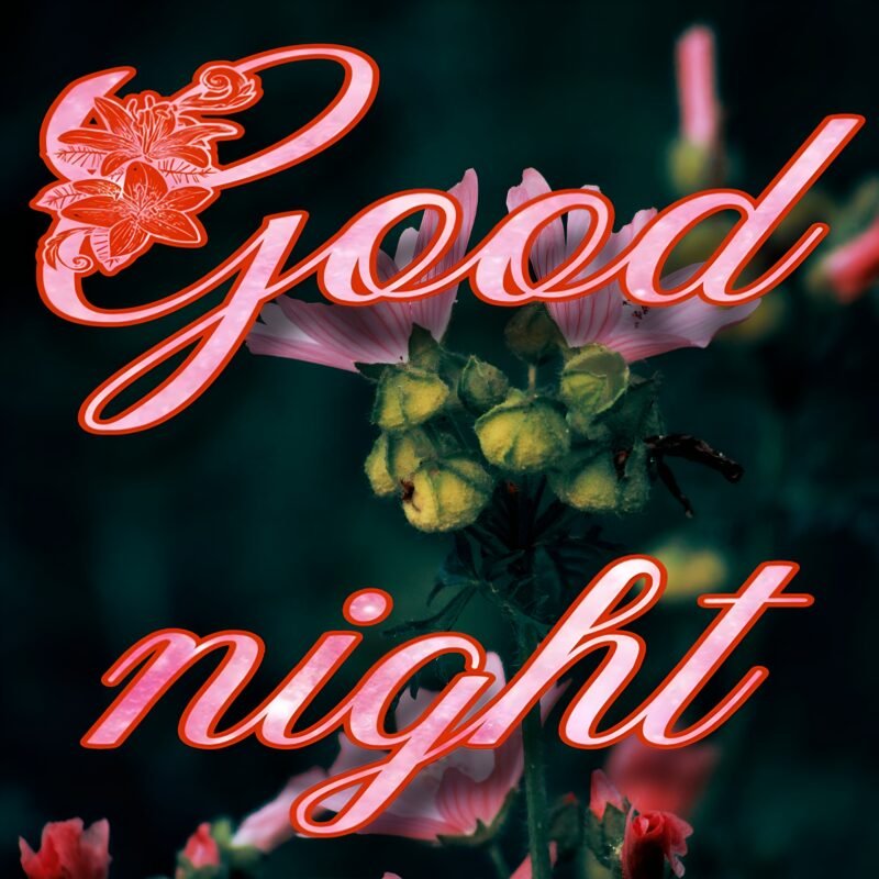 Good Night Floral HD Wallpaper free download