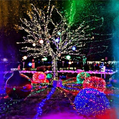 Colorful Light Display Wallpaper – Festive Holiday Lights Display