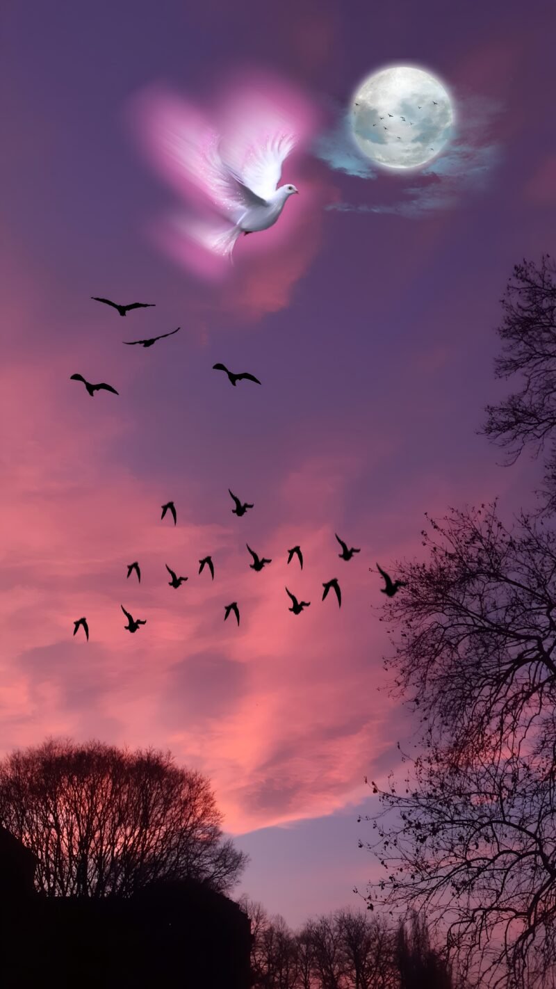 Twilight Dove Fantasy Sky HD Wallpaper free download