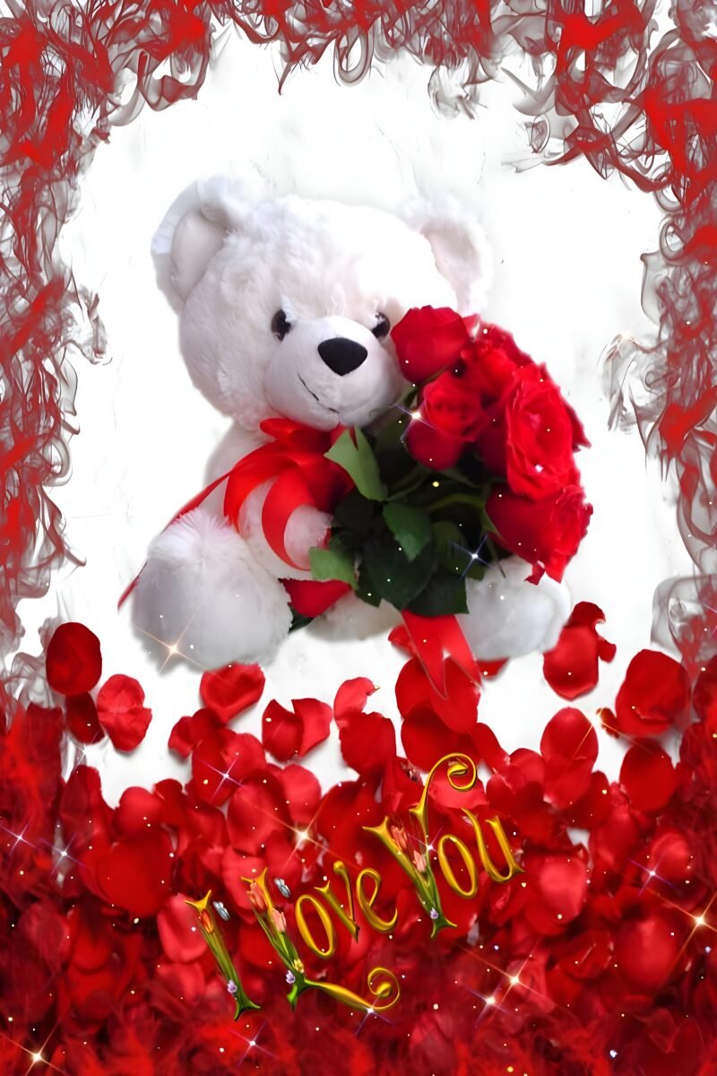 White Teddy Bear Roses HD wallpaper free download