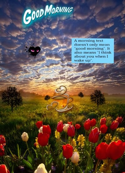 Soft Yellow Wallpaper HD Good Morning Sunrise Floral