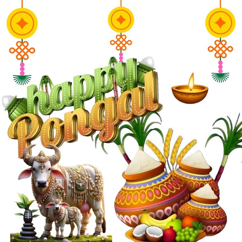 Happy Pongal Festival HD wallpaper free download