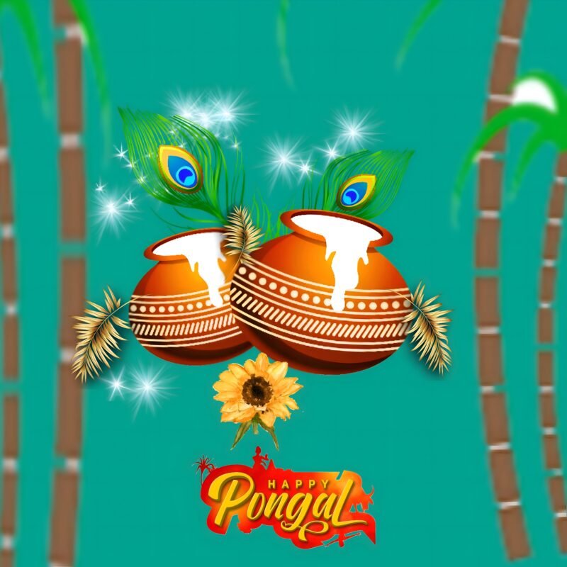 Happy Pongal Festival HD wallpaper free download