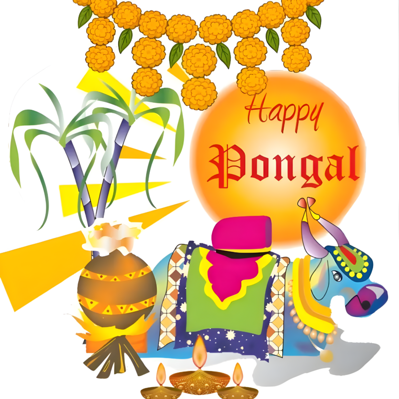 Happy Pongal Festival HD wallpaper free download