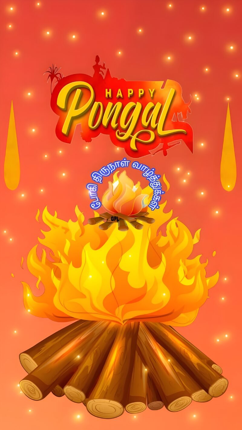 Happy Pongal Festival Bonfire HD wallpaper free download