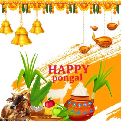 Happy Pongal Festival Celebration HD Wallpaper