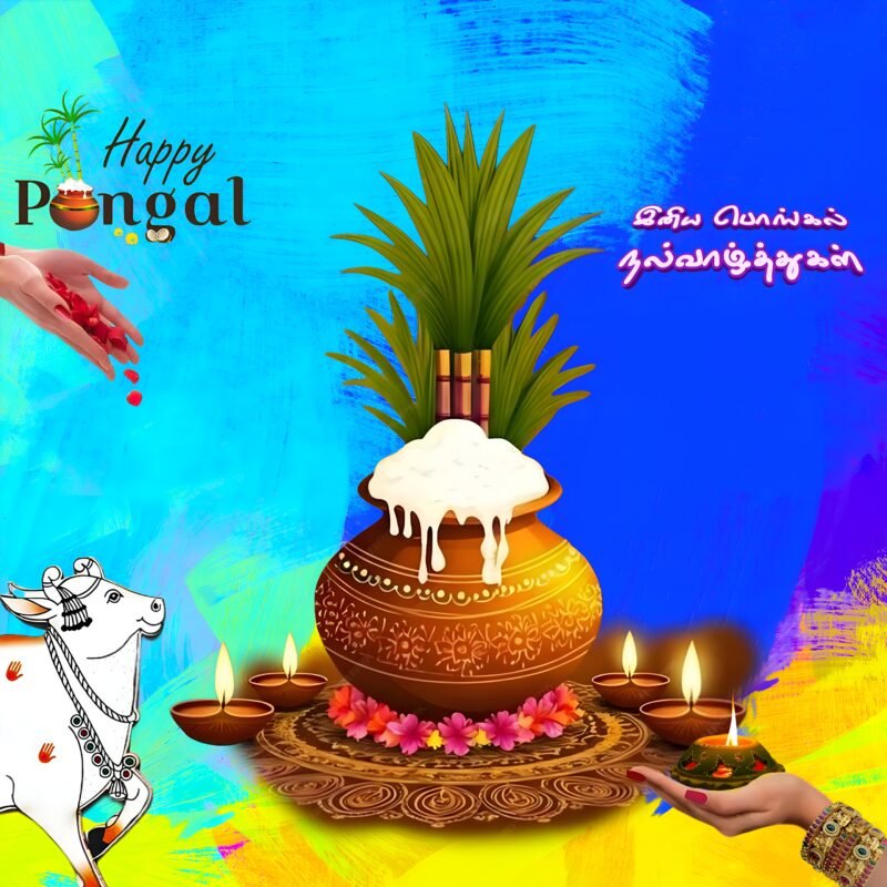 Happy Pongal Festival Celebration HD wallpaper free download