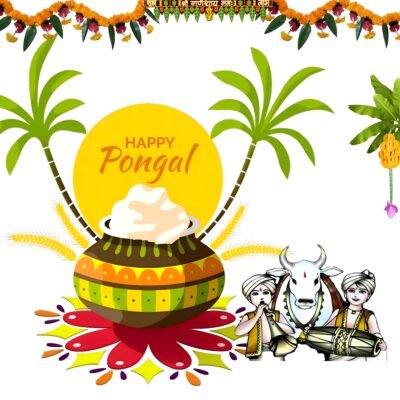 Happy Pongal Festival Illustration HD Wallpaper
