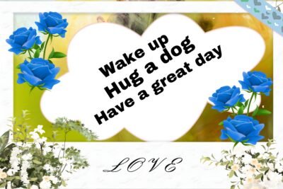 Vibrant Blue Wallpaper HD Inspirational Love Quote