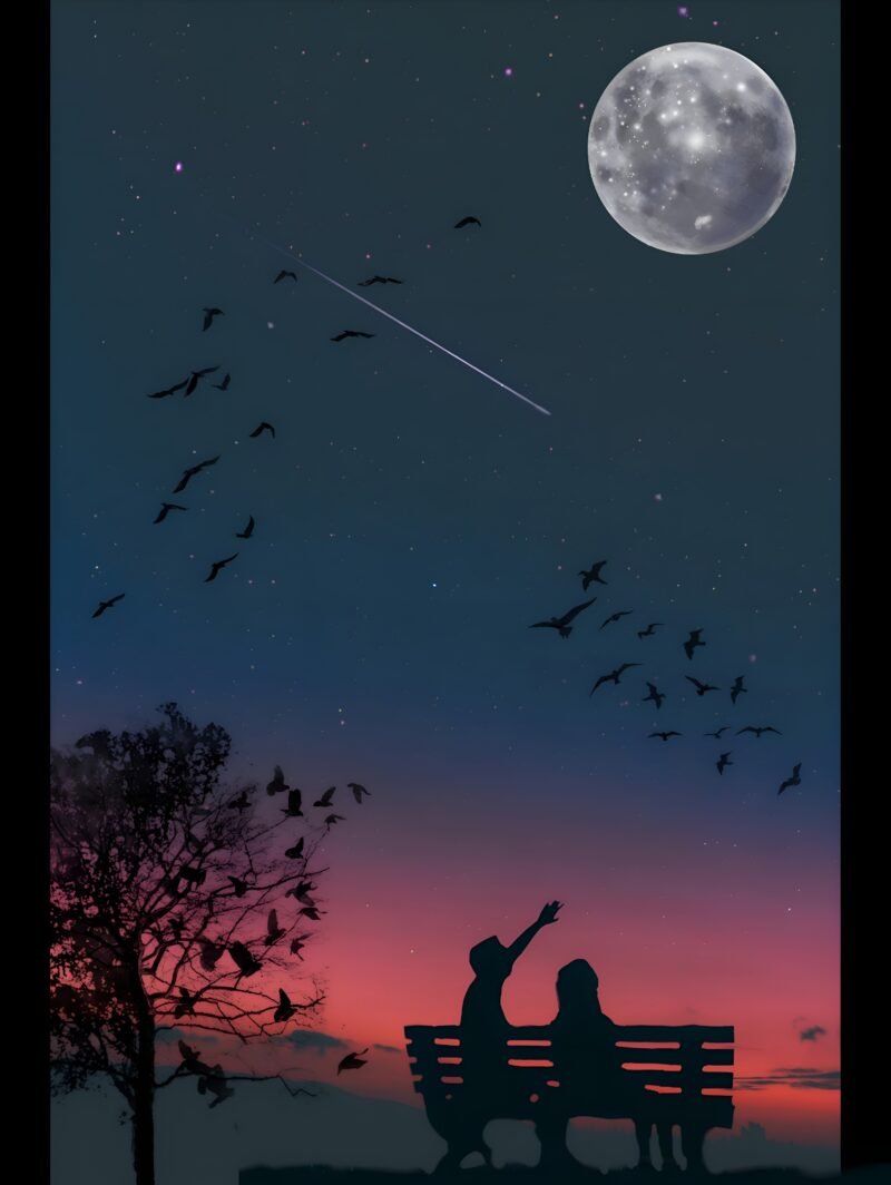 Moonlit Night Silhouette HD wallpaper free download