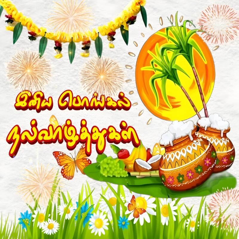 Pongal Festival Celebration HD wallpaper free download