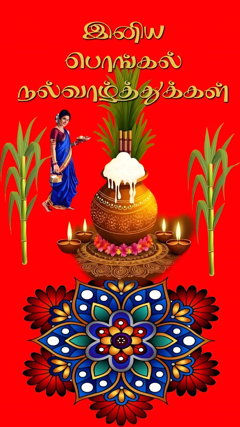 Pongal Festival Traditional Greeting HD wallpaper free download
