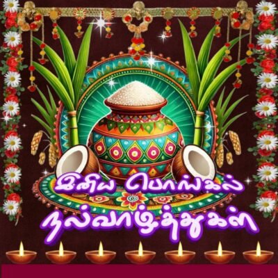 Bright Orange Wallpaper HD Pongal Festival Traditional Pot