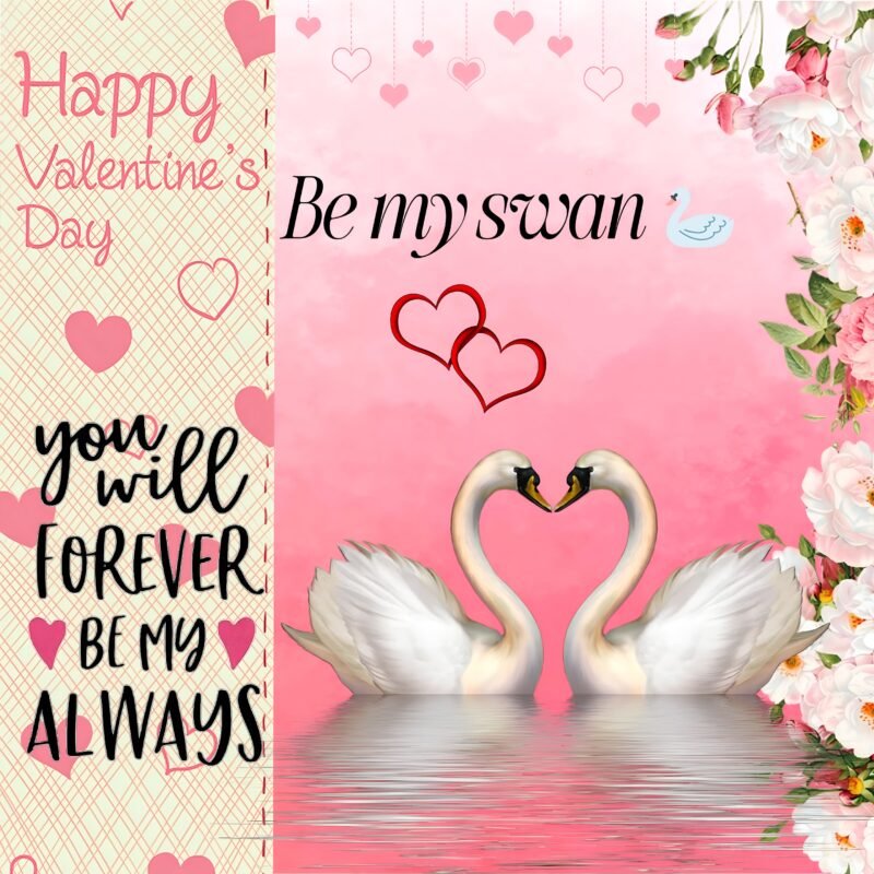 Romantic Swan Valentine’s Day Art HD wallpaper free download